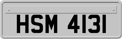 HSM4131