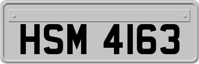 HSM4163