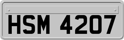 HSM4207