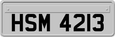 HSM4213