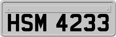 HSM4233