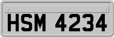 HSM4234