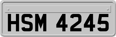 HSM4245