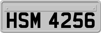 HSM4256
