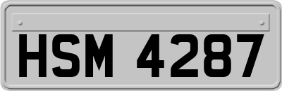 HSM4287