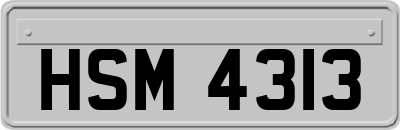 HSM4313