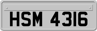 HSM4316