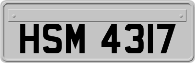 HSM4317
