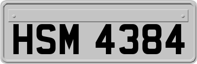 HSM4384