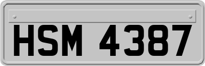 HSM4387