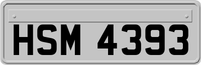 HSM4393