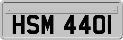 HSM4401