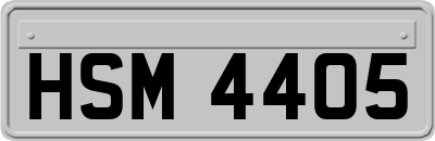 HSM4405