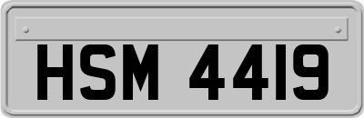 HSM4419