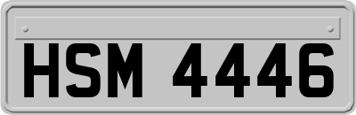 HSM4446