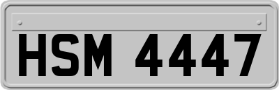 HSM4447