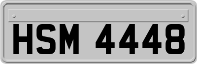 HSM4448