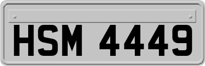 HSM4449