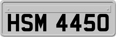 HSM4450