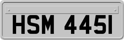 HSM4451