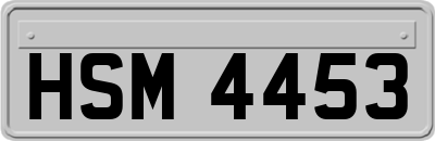 HSM4453