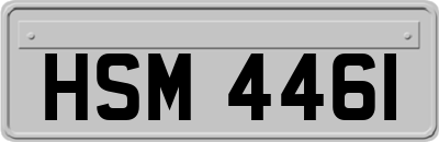 HSM4461