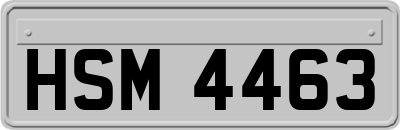 HSM4463