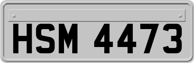 HSM4473