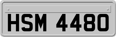 HSM4480