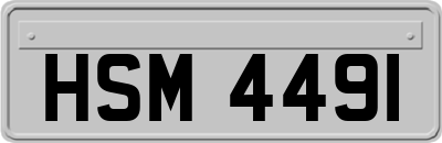 HSM4491