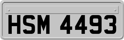 HSM4493