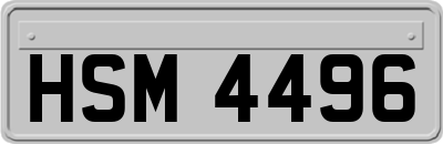 HSM4496