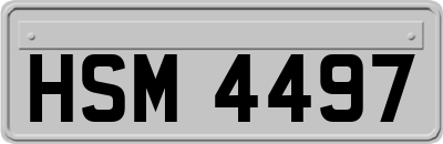 HSM4497