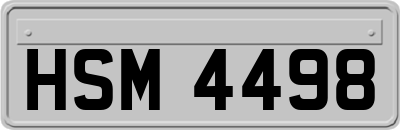 HSM4498