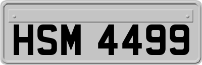 HSM4499