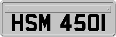 HSM4501