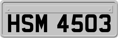 HSM4503