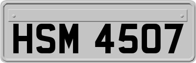 HSM4507