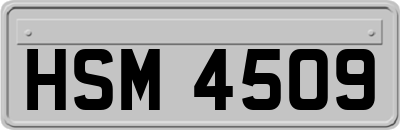 HSM4509