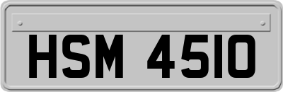 HSM4510