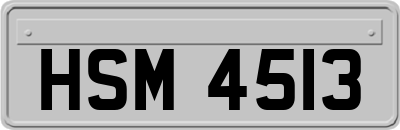 HSM4513