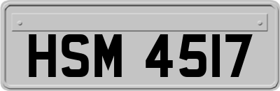 HSM4517