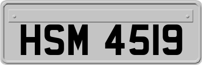 HSM4519