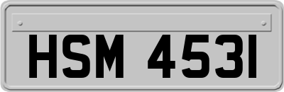 HSM4531