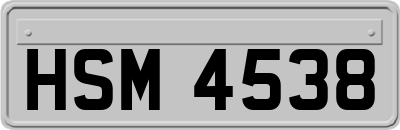 HSM4538