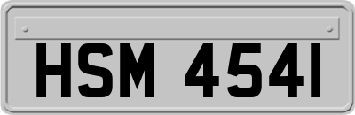 HSM4541