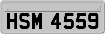 HSM4559