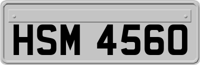 HSM4560