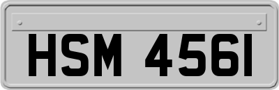 HSM4561