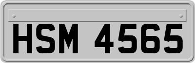 HSM4565